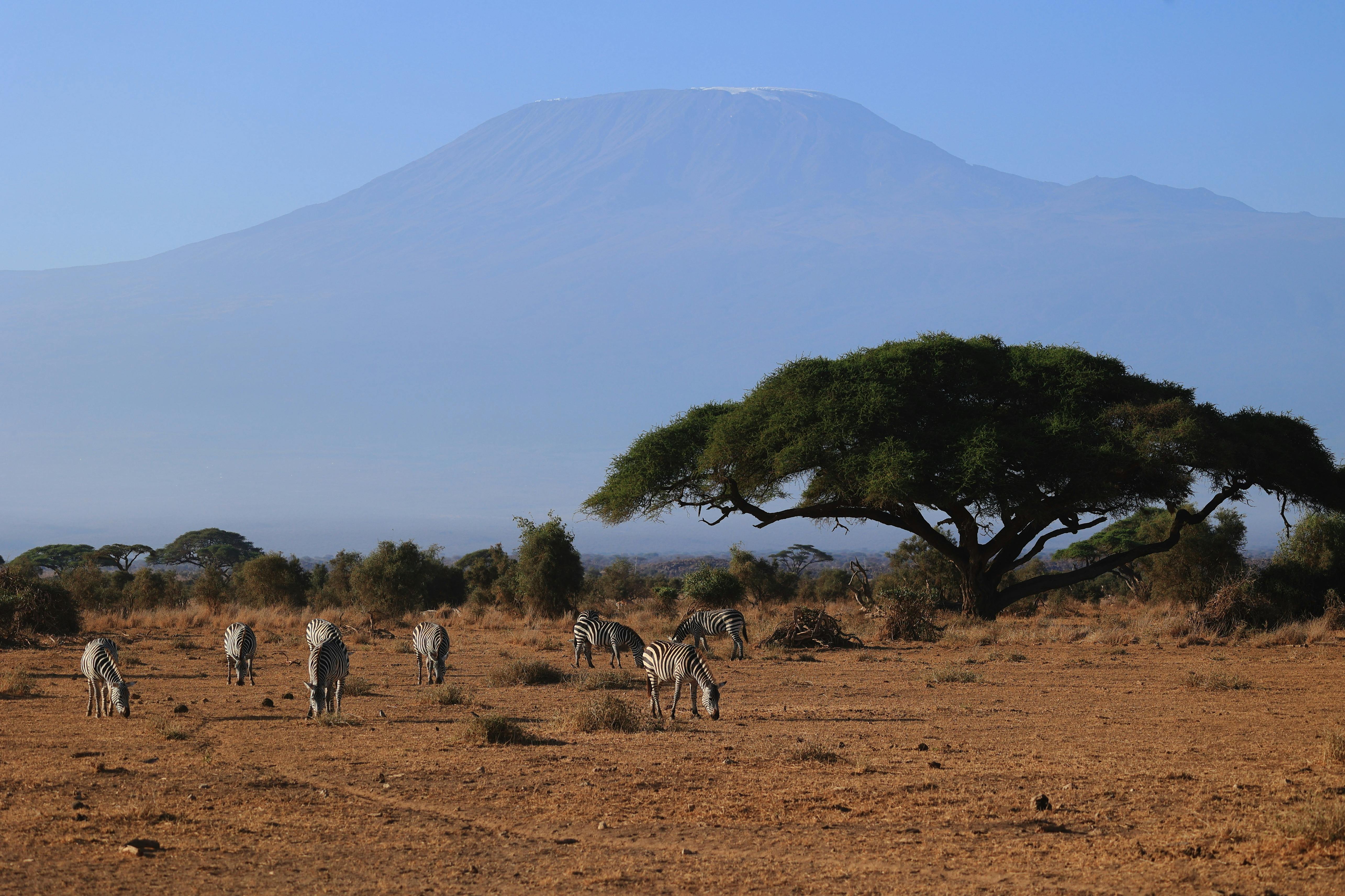 Amboseli National Park